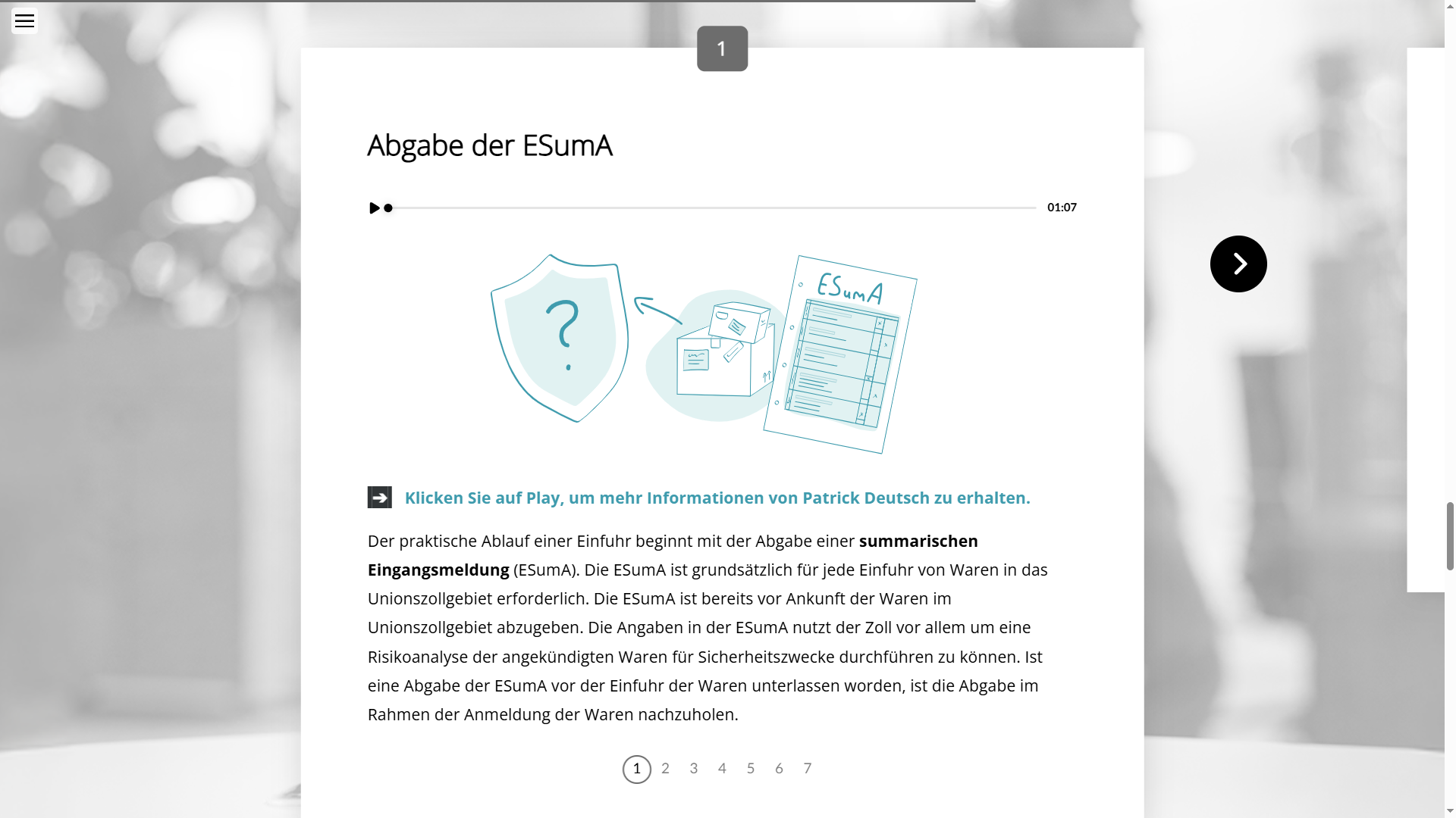 Einfuhr und Ausfuhr - Mehrwertsteuer und Zollverfahren